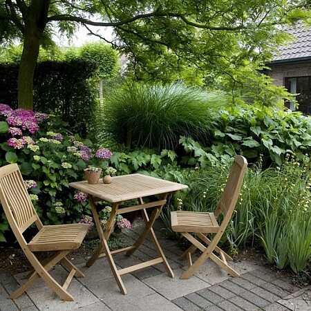 Evergem_1_-_M[1]._Vermeulen-Nigella_003.jpg